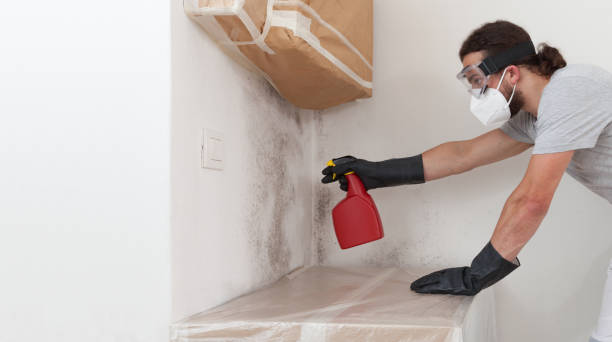 Professional Hvac And Air Duct Mold Remediation technician working in East Lansing, MI